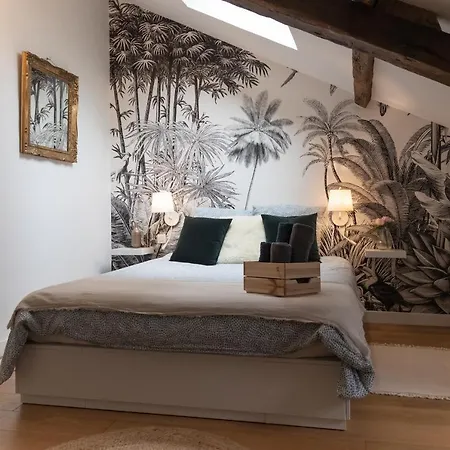 Maison Dans Le Centre Historique Pour 6 Personnes Avec Terrasse Et Parking * Pau