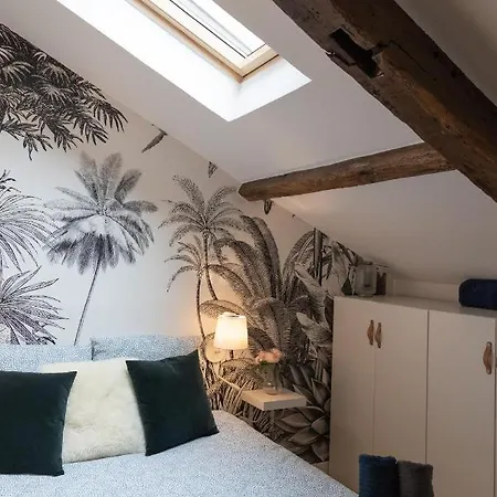 Villa Maison Dans Le Centre Historique Pour 6 Personnes Avec Terrasse Et Parking Pau