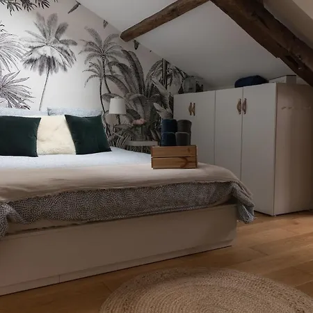 Maison Dans Le Centre Historique Pour 6 Personnes Avec Terrasse Et Parking * Pau