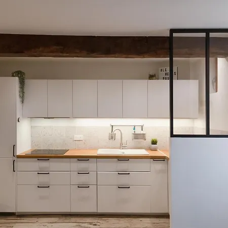 Maison Dans Le Centre Historique Pour 6 Personnes Avec Terrasse Et Parking Villa Pau
