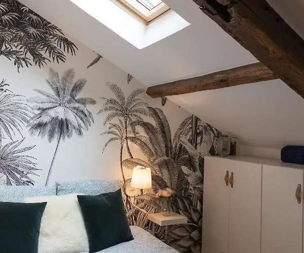 Vila Maison Dans Le Centre Historique Pour 6 Personnes Avec Terrasse Et Parking Pau