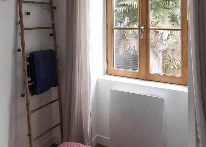 Maison Dans Le Centre Historique Pour 6 Personnes Avec Terrasse Et Parking Pau