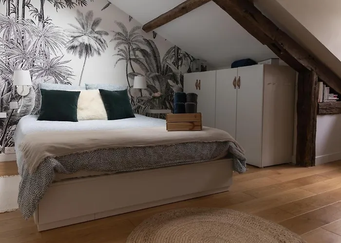 Maison Dans Le Centre Historique Pour 6 Personnes Avec Terrasse Et Parking * Pau