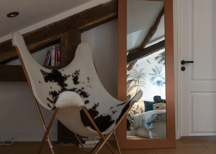 Maison Dans Le Centre Historique Pour 6 Personnes Avec Terrasse Et Parking Vila Pau